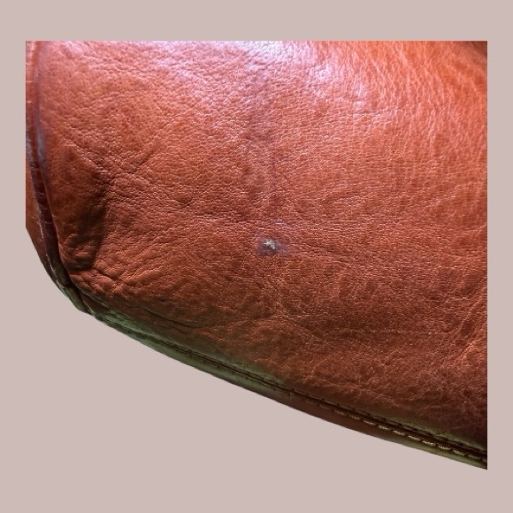 Dooney & Bourke Florentine Hobo Bag - Picture 7 of 16